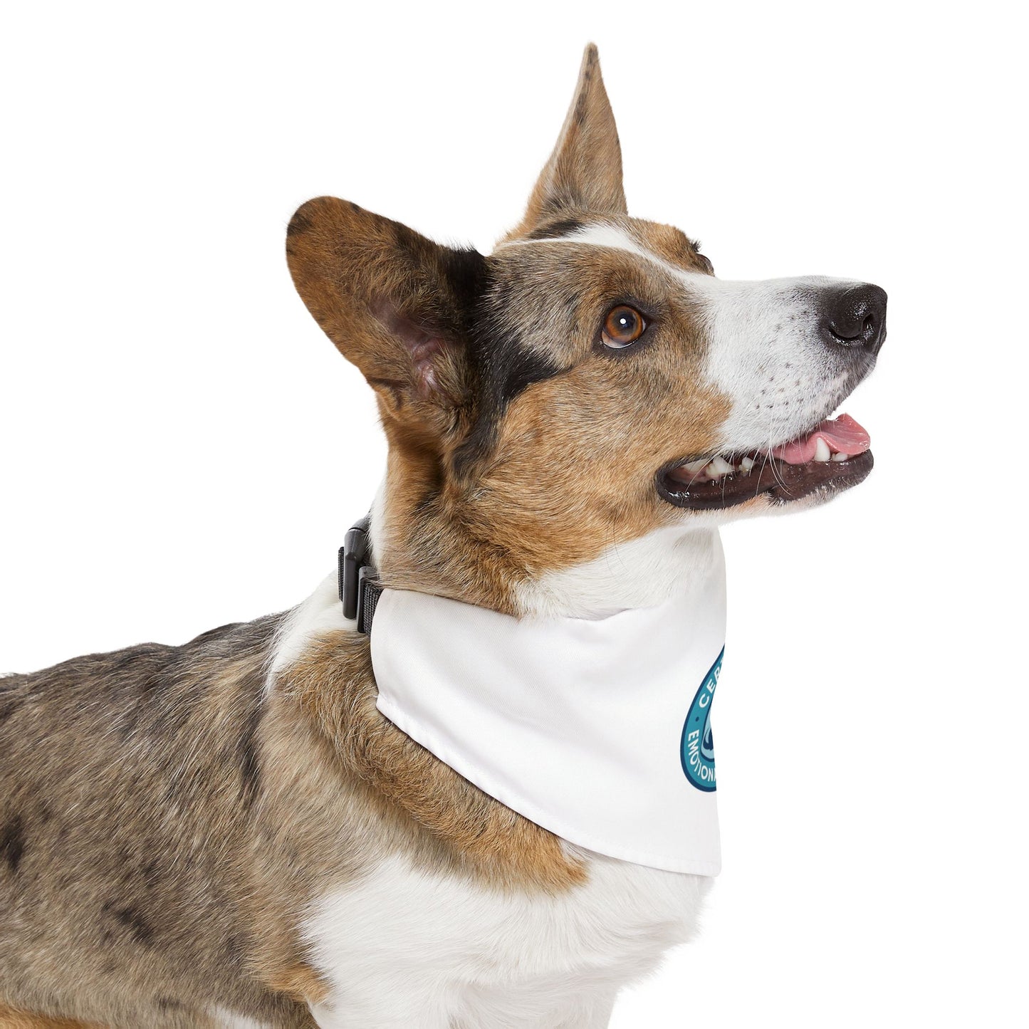 Pet Bandana Collar "Certified Emotional Support Unit"